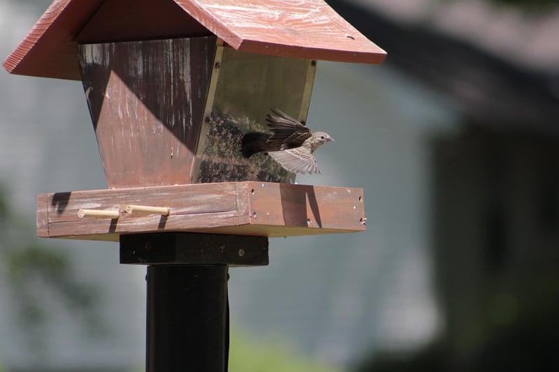 Upcycled Bird Feeder